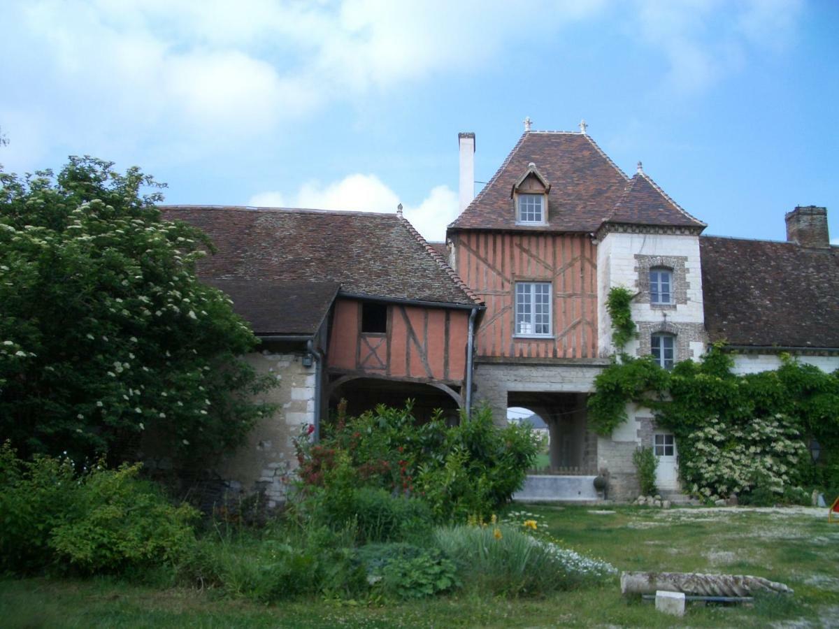 Chateau Des Roises Bucey-en-Othe Exterior photo