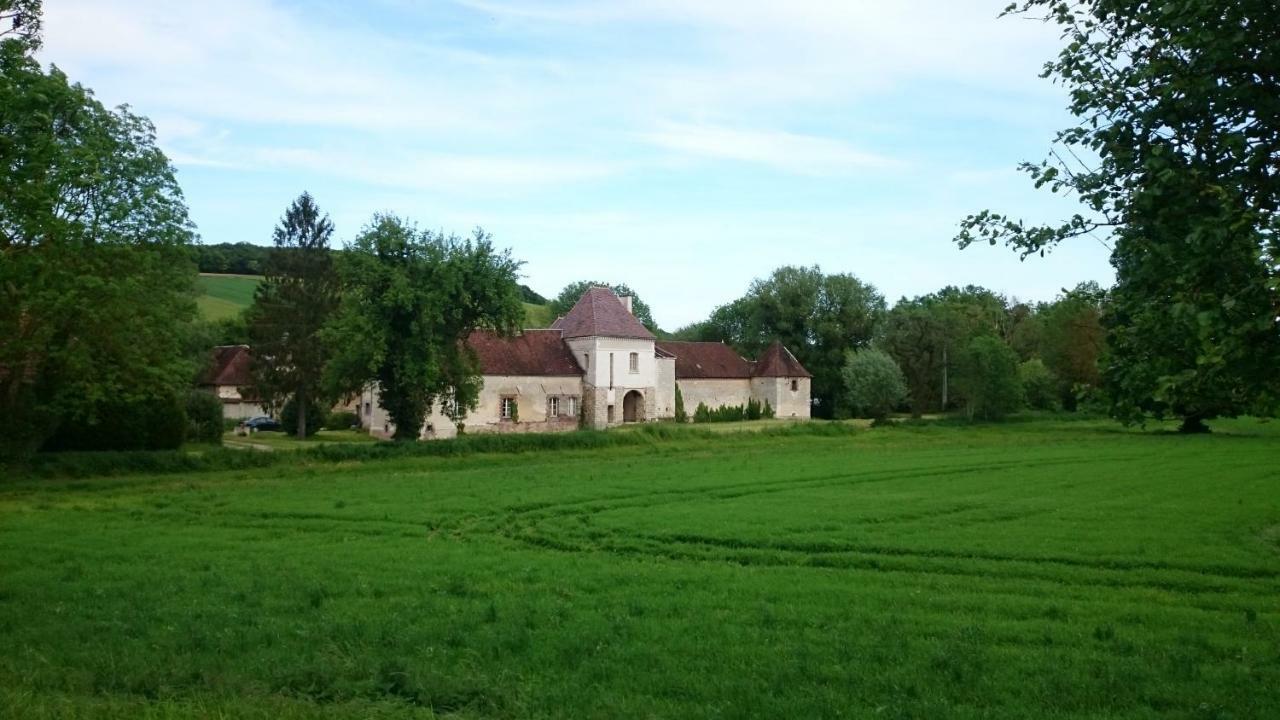 Chateau Des Roises Bucey-en-Othe Exterior photo